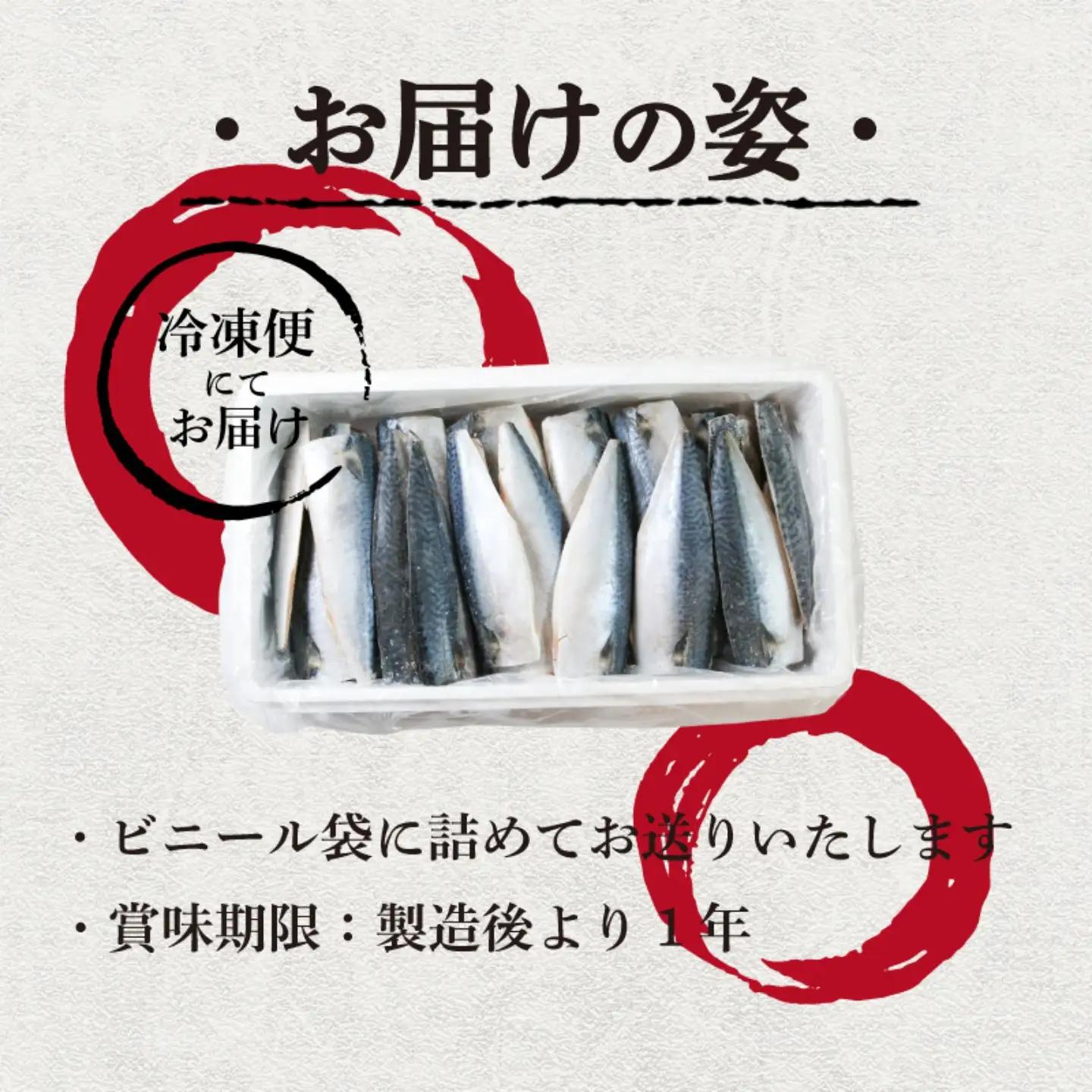 国産 塩鯖 40枚 鯖