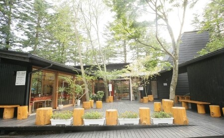 トラットリア プリモお食事引換券【お好きなピッツァ＆パスタ】約2名様分