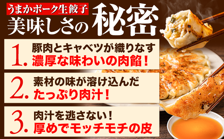 餃子 うまかポーク生餃子 60個 【6ヶ月定期便】タレ付き 大津町限定返礼品 冷凍餃子 ギョウザ《お申込み月の翌月から発送開始》大津町産豚肉使用 九州産キャベツ使用（大津町産含む）皮モチモチ 肉汁溢れ