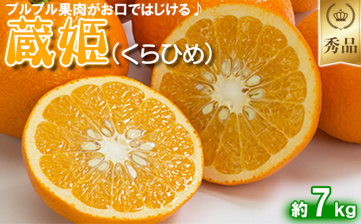 
            今村農園の蔵姫くらひめ（紅甘夏） 約7kg【秀品】 先行予約 7kg 2025年 3月発送 4月発送 贈答 柑橘類 みかん ミカン フルーツ ＜107-032_6＞
          