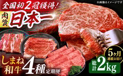牛肉 定期便 【全5回定期便】肉質日本一！しまね和牛 寄附額10万円分 計2kg 食べ比べ セット 和牛 牛肉 ステーキ 焼肉 おすすめ 人気 定期便 詰め合わせ 詰合せ 国産牛 黒毛和牛 ブランド牛 お肉 肉 贈答 贈り物 ギフト プレゼント お祝い ご褒美 お取り寄せ グルメ 大容量 豪華 記念日 誕生日 お誕生日 島根県雲南市/Do corporation株式会社 [AIDI017]