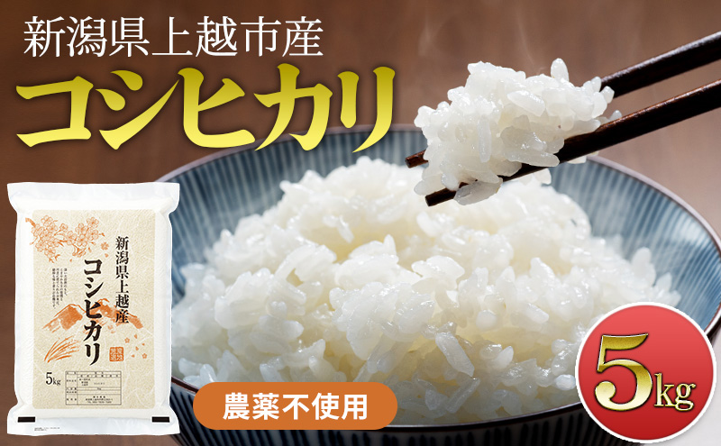 【新潟県上越市産　令和7年産】栽培期間中 農薬不使用コシヒカリ5kg 精米 米