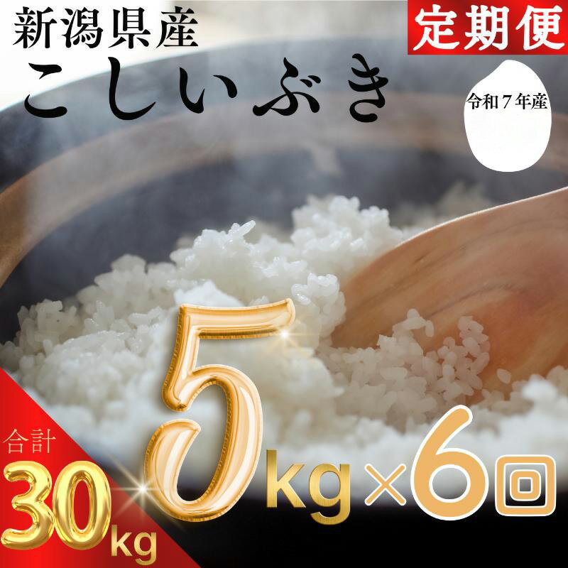【ふるさと納税】令和7年 新潟県産 こしいぶき 5kg 5キロ 30kg 30キロ（5kg×6回） 定期便 毎月届く 米ヴィレッジさんわ 自社精米 米 白米 限定　お届け：2025年10月～2026年9月下旬