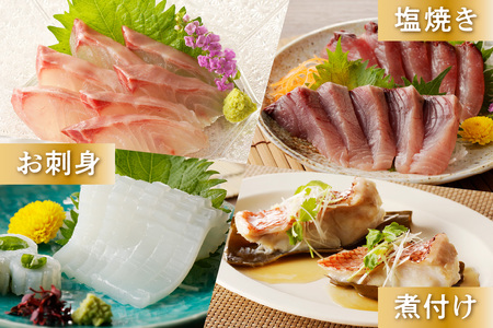 【定期便】浜田の旨い鮮魚四季のお届けコース 海鮮 海鮮 セット 【006_2056】