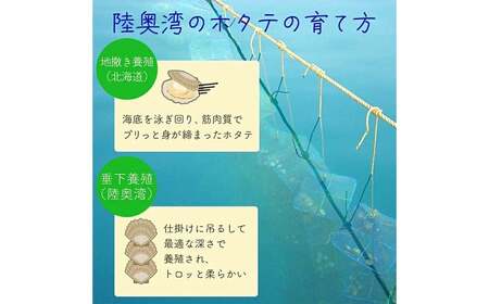 陸奥湾産 蒸しベビーホタテ 1kg (500g×2袋) 【平内町漁業協同組合】 F21J-033