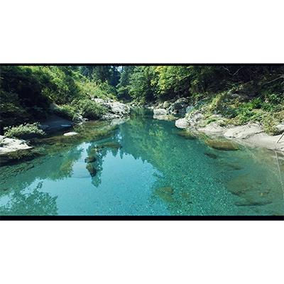 ふるさと納税 土佐市 【毎月定期便】旬の野菜と栽培期間中農薬不使用の生姜付き全3回 |  | 03