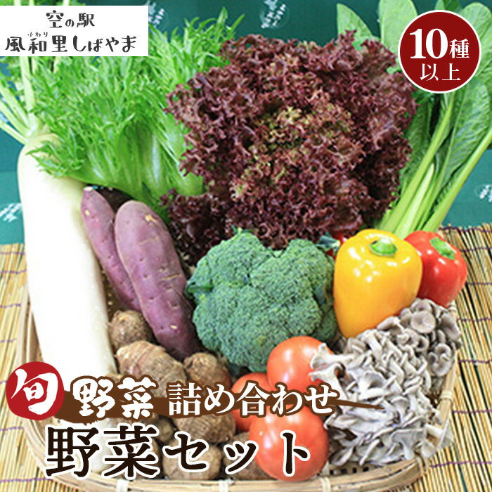 【ふるさと納税】No.063 野菜セット（10種以上） ／ 野菜 季節の野菜 旬 新鮮 自慢の逸品 詰め合わせ 送料無料 千葉県