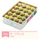 【ふるさと納税】ラ・フランス 洋梨 ラフランス ◯秀品 約5kg 2024年産 令和6年産 果物 山形県産 送料無料 sb-lamsx5