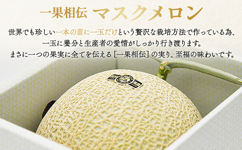 一果相伝マスクメロン家庭用 3玉入り フルーツ メロン 果物 デザート tn-0029
