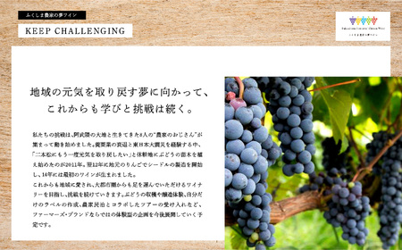 シードルミニ瓶セット（ふじりんご2本／つがるりんご1本）250ml×3本【ふくしま農家の夢ワイン】