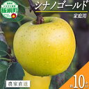 【ふるさと納税】 りんご シナノゴールド 10kg 家庭用 相澤農園 沖縄県への配送不可 〔 果物 フルーツ 林檎 長野 予約 農家直送 10キロ 23000円 〕【令和6年度収穫分】 発送：2024年11月上旬～