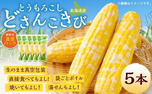 北海道産 とうもろこし 5本 どさんこきび 北海道産 とうもろこし 5本 どさんこきび 野菜 やさい とうきび トウモロコシ レトルト 食べ物 食品 甘い 人気 真空包装 加熱調理済 生食OK 生で食