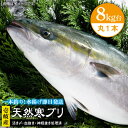 【ふるさと納税】壱岐島産天然寒ブリ（8キロ台・丸もの） 《壱岐市》【壱岐島　玄海屋】[JBS005] ぶり 寒ぶり ブリ 魚 刺身 しゃぶしゃぶ 90000 90000円 のし プレゼント ギフト 冷蔵配送