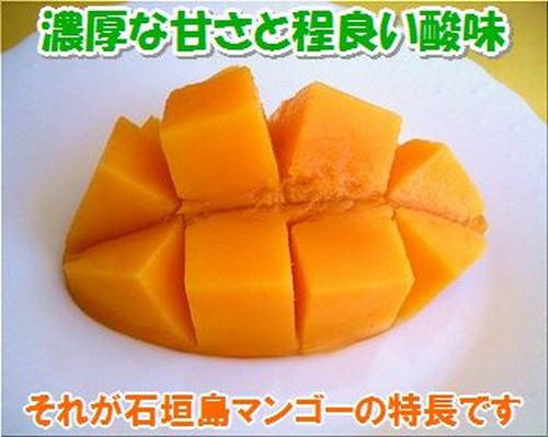 濃厚な甘さ、ジューシーさ、酸味もあります。