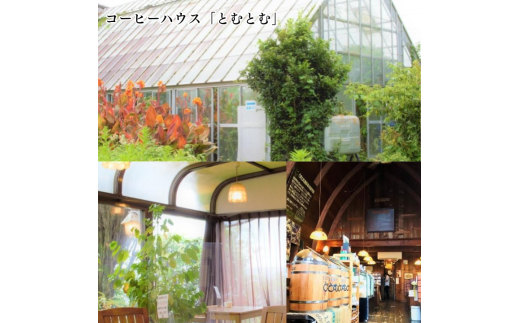 D-8a コーヒー豆の原木を使用して作製したボールペン（１本）【つくば市×牛久市×龍ケ崎市×利根町共通返礼品】