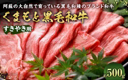 くまもと黒毛和牛 すきやき用 500g 牛肉 黒毛和牛 和牛 お肉 すき焼き すきやき ブランド牛 スライス 熊本県