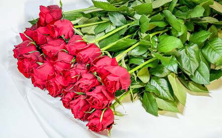 バラの花束 アマダ（赤）（20‐30本）| 花 バラ 薔薇 ローズ 生花 花束 ブーケ 赤 贈り物 プレゼント ギフト【2026年11月下旬頃迄発送予定】