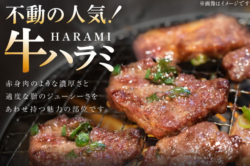 牛肉 味付き 牛ハラミ 300g 3P 計900g [からくわ精肉店 宮城県 気仙沼市 20566103] 牛 肉 焼肉 ハラミ 熟成手造りたれ 小分けパック 小分け 冷凍