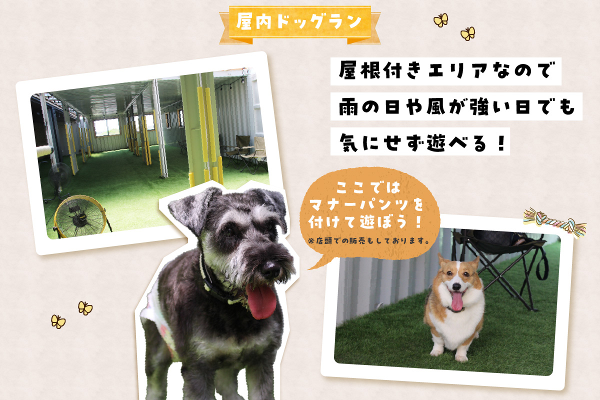 【TOWATERAメンバーズ】ドッグラン、ペットホテルなどをお得に利用できる「トワるん」会員入会＋ドッグラン使い放題【2頭】｜犬 ペット おでかけ 知多半島 伊勢湾 オーシャンビュー 海沿い 観光 体