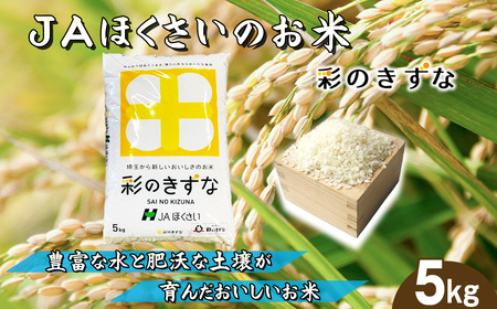 鴻巣市産「彩のきずな」5kg ／ 令和7年産 新米 2025年産 米 精米 お米 5キロ ご飯 ブランド米 美味しい 粘り もっちり 埼玉県 No.569