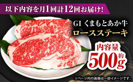 【全12回定期便】【数量限定】GIくまもとあか牛ロースステーキ　約500g【山鹿市（桜屋）】 熊本 特産 熊本県産  牛肉 牛 特選 定期 [ZBO028]