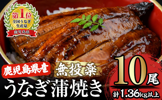 
2125 【無投薬にこだわったうなぎ】鹿児島県産うなぎ蒲焼10尾【国産】
