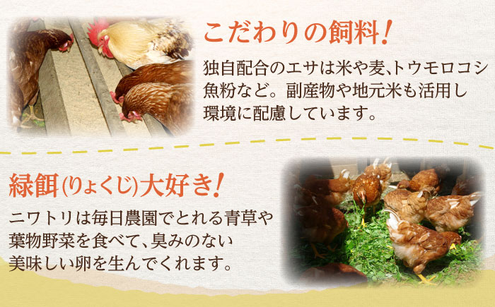 たまご屋さんのプリン2種食べ比べセット 計10個（おひさまプリン5個、あんプリン5個） / プリン デザート 食べ比べ / 佐賀県 / 本間農園 [41AJAA017]