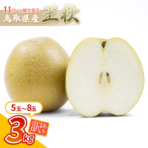 （訳あり）中野農園 梨 ”王秋梨” 3kg箱｜鳥取 岩美 梨 なし ナシ※お届けは2026年11月以降【41050】