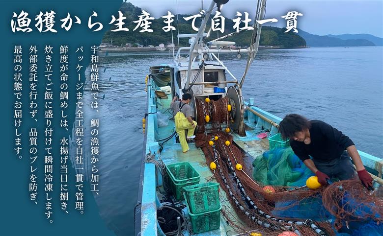 鯛 鯛めし 宇和島の鯛めし 1～2人前 8セット 宇和島鮮魚 タイ 魚介 刺身 お刺身 刺し身 お刺し身 人気 鯛めし お茶漬け 海鮮 海鮮丼 漬け丼 漬け 漬丼 丼 丼ぶり 人気返礼品 アレンジ 国