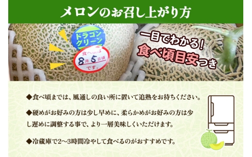 三種町特産 品種お任せ メロン 1玉箱（品種お任せ） [先行予約 メロン 秋田 タカミ グレース 甘えんぼう レノン ドラゴンレッド ドラゴングリーン]