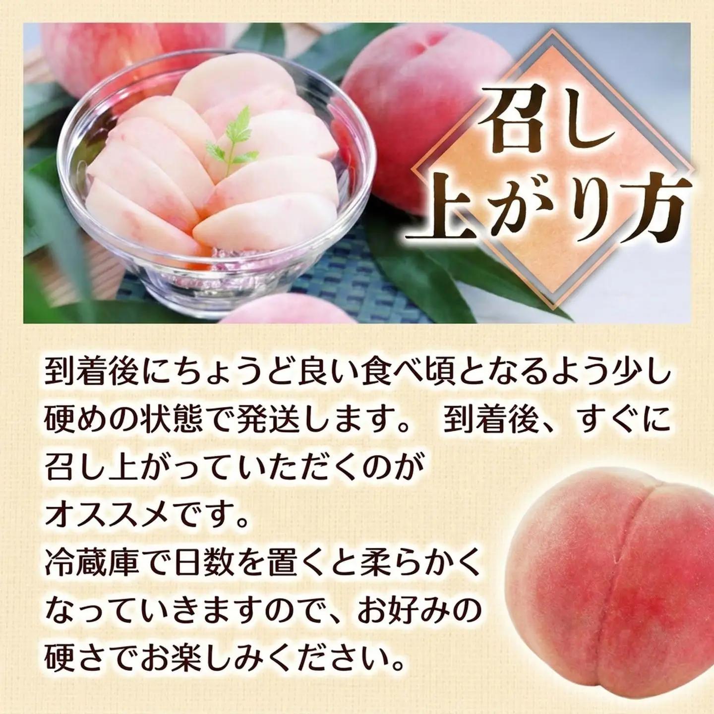 もも あかつき 秀品 約5㎏ 桃 【2027発送分】