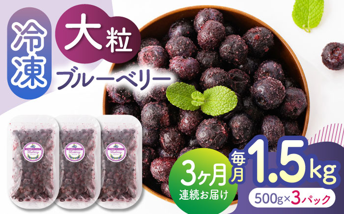 【3回定期便】大粒 冷凍ブルーベリー 約1500g（約500g×3pc）【すみれファーム】熊本県産 熊本 ブルーベリー フルーツ スムージー 果物 小分け 国産 フルーツ 定期 定期便 [ZEP013]