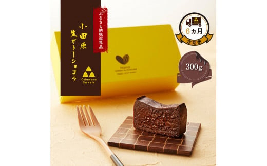 【定期便6ヶ月】極上の口溶け。幸せの生ガトーショコラ 300g【 高級 濃厚  極上スイーツ グルテンフリー チョコ ショコラテリーヌ 高品質クーベルチュールチョコレート使用 一流シェフ 神奈川県 小田原市 】 142069_DW013