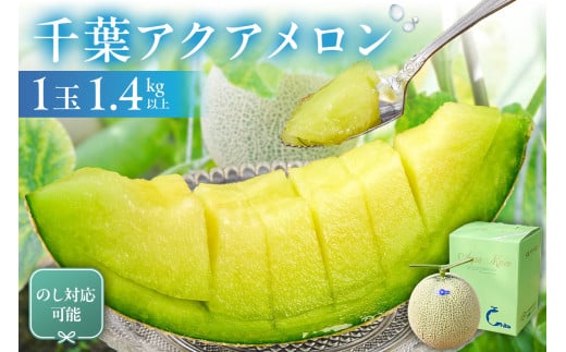 【通常配送】のし対応可能 千葉アクアメロン(マスクメロン)1玉 mi0018-0002【メロン 青肉 ギフト 贈答 プレゼント フルーツ 果物】