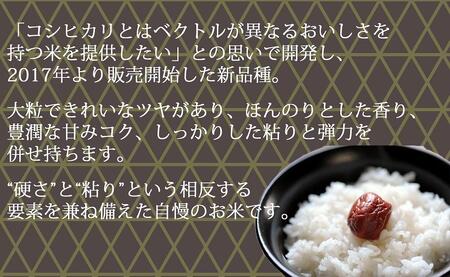 【定期便全6回】新潟県産新之助5kg（受注の翌月から毎月配送）