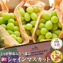 【ふるさと納税】＼ランキング1位／【 訳あり 】 2024年9月下旬～随時発送 シャインマスカット 【先行受付】■2024年発送_訳ありシャインマスカット3房1.3kg以上 ご自分へのご褒美シャインマスカット JA中野市から産直_ 【配送不可地域：離島・北海道・沖縄県】【1422800】