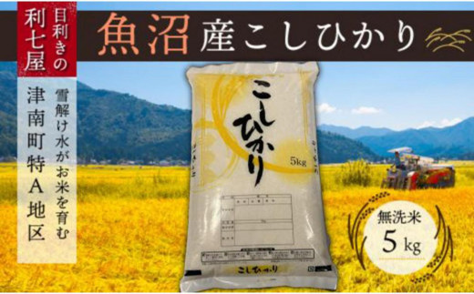 
                  【令和8年産先行予約】【6ヶ月定期便】 【魚沼産コシヒカリ 無洗米 5kg × 全6回】 雪解け水がお米を育む、津南町特A地区の美味しいお米。| 新潟産コシヒカリ 新潟県産コシヒカリ 魚沼産こしひかり 米 お米 こしひかり 白米 精米 ブランド米 新潟県 津南町 中島利七
                