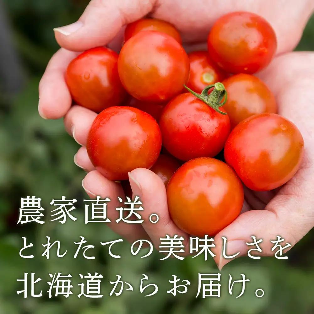 【2026年発送】〈萬福農研〉産地直送！ミニトマト(プレミアムルビー) 1kg