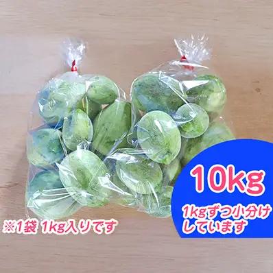 摘果メロン 野菜 漬物用 北海道富良野産 摘果メロン【10kg 1kg×10袋】