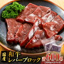 【ふるさと納税】 和牛 レバー ブロック 600g 300g 2パック 和牛レバー 黒毛和牛 牛 牛肉 肉 肝臓 牛の肝臓 安心安全 レバーブロック 国産 鉄分 冷凍 レバニラ 焼肉 加熱用 カミチク ふるさと納税 鹿児島 鹿児島市 おすすめ ランキング プレゼント ギフト