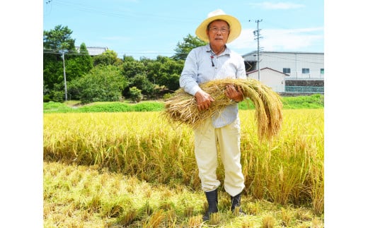 【令和7年産】先行予約 新米 コシヒカリ 10㎏ ( 5kg ×2 )　NE-02-01　