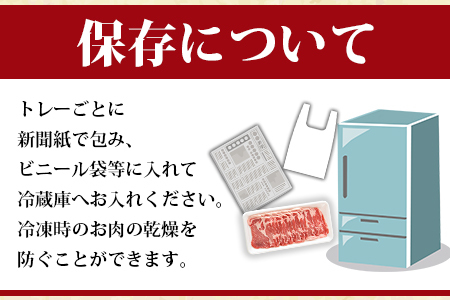 ＜宮崎県産豚肉 バラエティーセット4.4kg＞翌月末迄に順次出荷【 肉 豚肉 国産豚肉 九州産豚肉 宮崎県産豚肉 豚肉 大容量 豚肉 バラエティー豚肉 豚肉 豚ロース 豚モモ 豚ミンチ 豚こま 肉 】