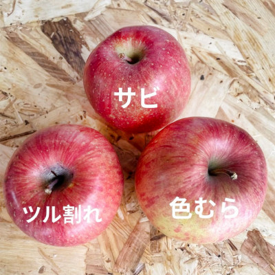 青森県産 産地直送!家庭用 サンふじ 約5kg【配送不可地域：離島】