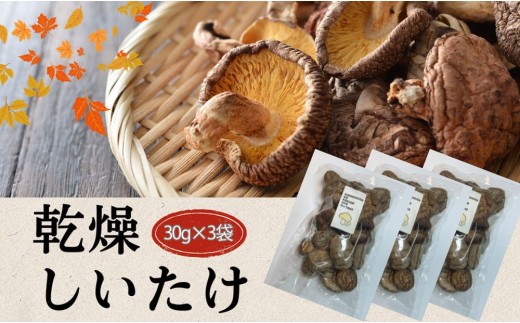 大分産椎茸（しいたけ） 津久見で育てた肉厚 乾燥しいたけ 30g×3袋 | しいたけ 干し椎茸 しいたけステーキ 干椎茸 菌床しいたけ きのこ ギフト 国産 産地直送 津久見市