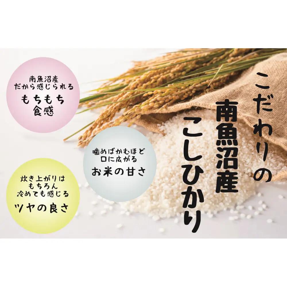 【令和7年】南魚沼産コシヒカリ特別栽培米 白米 2kg×2袋 計4kg | コシヒカリ