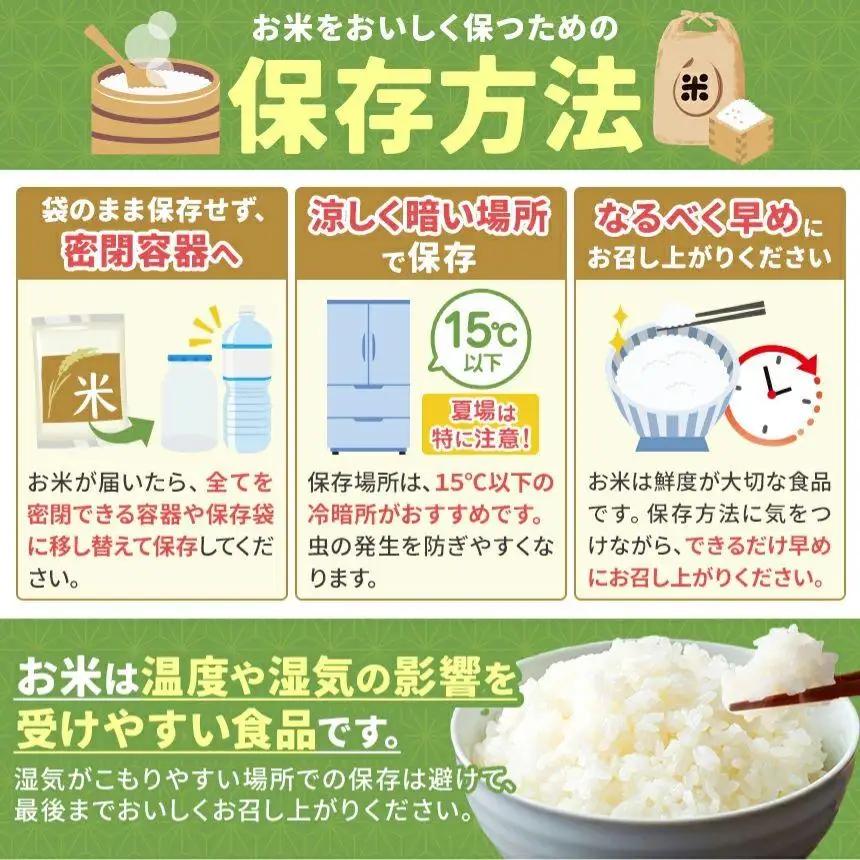 【定期便3回】栃木県産 とちぎの星 玄米 10kg 2026年 先行予約 新米 | 栃木県 矢板市
