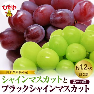 ふるさと納税 東根市 【2026年産】シャインマスカットと「富士の輝」の詰め合わせ約1.2kg hi074-017
