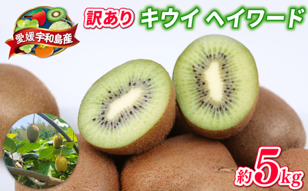 訳あり キウイ フルーツ 5kg 吉田農園 グリーンキウイ ヘイワード キウイフルーツ デザート スイーツ 愛媛県産 訳アリ 訳あり品 訳有り わけあり 果物 くだもの 農家直送 産地直送 数量限定 国産 愛媛 宇和島 F012-160003