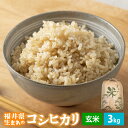 【ふるさと納税】コシヒカリ 3kg 米 令和6年 新米 福井県産【玄米】【お米 こしひかり 3キロ 人気品種 少量 買い回り お買い物マラソン】 [e30-a076]