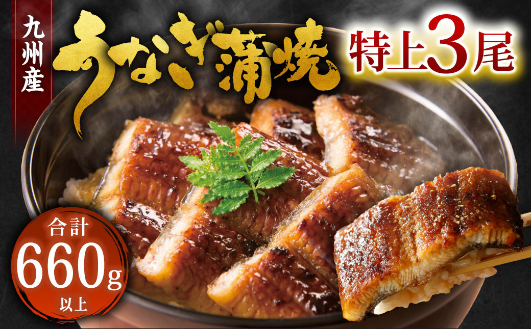 
            九州産 うなぎ 蒲焼 特上 3尾 計660g以上 (1尾あたり220～235g)
          